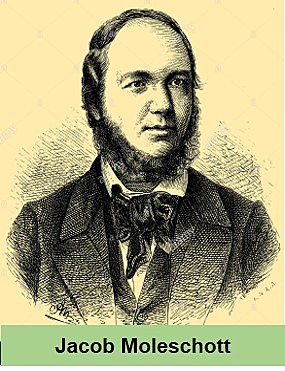 Jacob Moleschott.