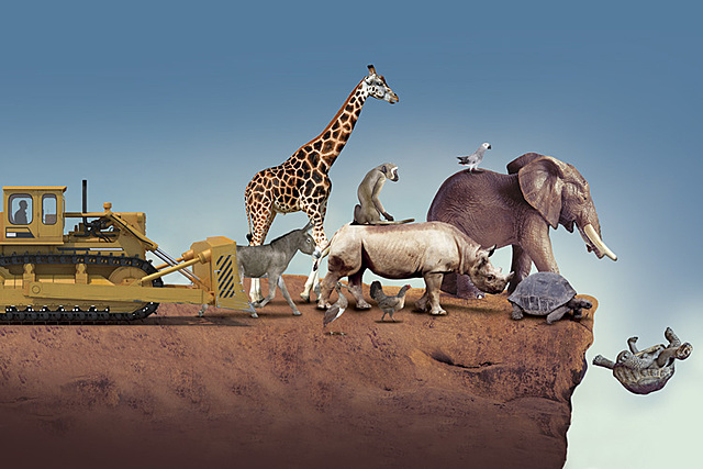 Extinción de especies