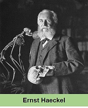 Ernst Haeckel
