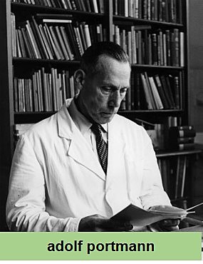 Adolf Portmann