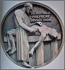 Herófilo y Erasístrato