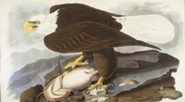 Timeline: J.J.A timeline