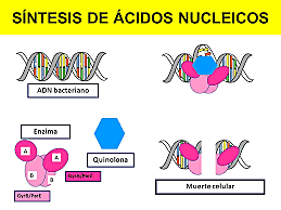 Sintetizar un ácido nucleico