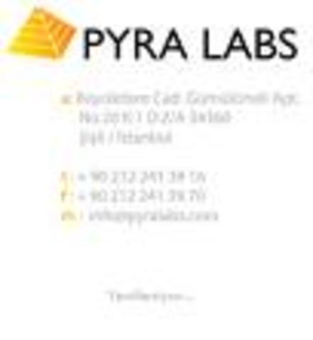 se funda PYRA LABS