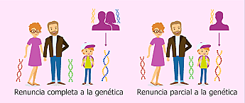 Feneración de genetistas