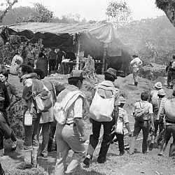 Coordinadora Guerrillera Simón Bolívar