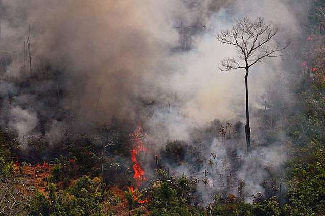 Incendios en el Amazonas