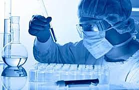 La investigación científica perdió impulso.