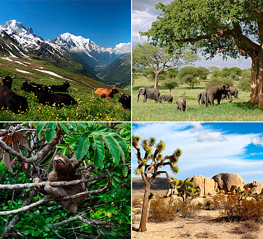 •	Antes de hablar de recursos humanos y plasmarlos en una línea de tiempo se debe entender estas 5 definiciones.