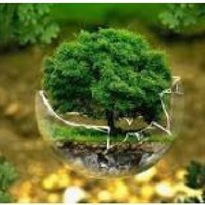 Timeline: Dimensión ambiental a través de la historia