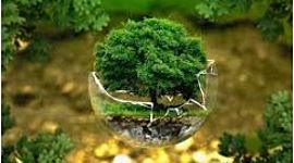 Timeline: Dimensión ambiental a través de la historia