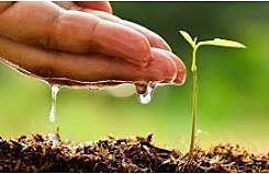 Protocolo relativo a las áreas y flora y fauna silvestres  colombiana