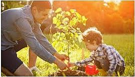 Cumbre mundial sobre el desarrollo