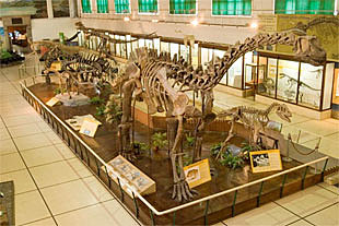 Museo de Ciencias Naturales.