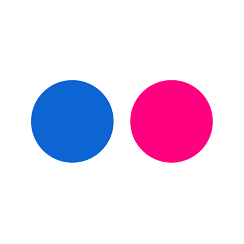 Flickr en lanzado