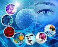 esmoronamiento del empirismo lógico. Thomas ku