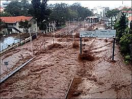 Incendios forestales