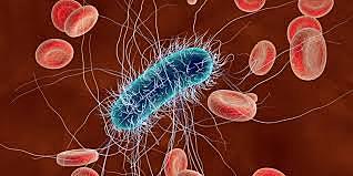 Comienza la época de la bacteriología