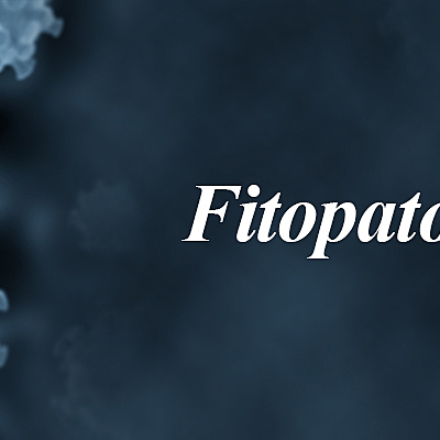 Timeline: Historia Fitopatología