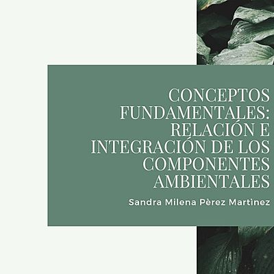 Timeline: CONCEPTOS FUNDAMENTALES: RELACIÓN E INTEGRACIÓN DE LOS COMPONENTES AMBIENTALES