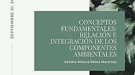 Timeline: CONCEPTOS FUNDAMENTALES: RELACIÓN E INTEGRACIÓN DE LOS COMPONENTES AMBIENTALES