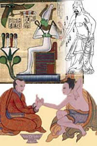 TERAPIAS NATURALES BCE 476