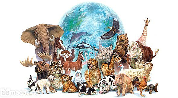 SELECCION NATURAL-Darwin