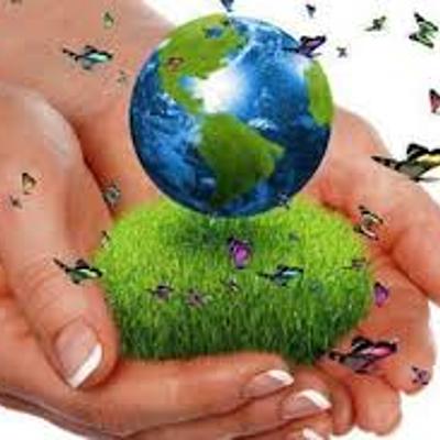 Timeline: DIMENSIÓN AMBIENTAL GLOBAL Y  EN COLOMBIA