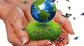 Timeline: DIMENSIÓN AMBIENTAL GLOBAL Y  EN COLOMBIA