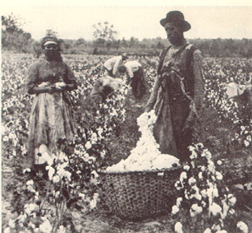 The Colored Farmers' National Alliance
