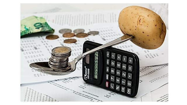 Sector Gubernamental