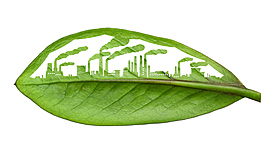 Timeline: Responsabilidad Social