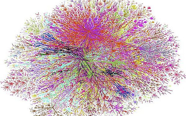 Red de la causalidad