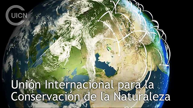 Unión Internacional para la Conservación de la Naturaleza