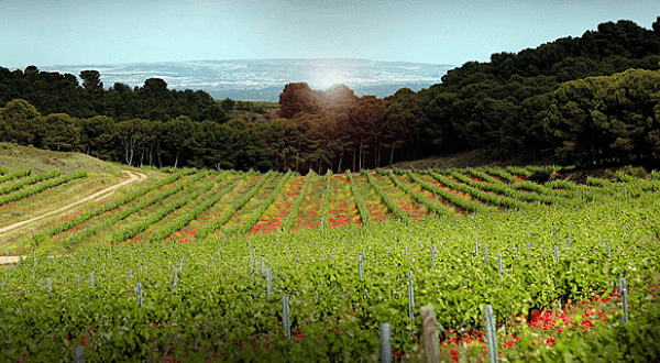 LA ECONOMÍA VERDE, BRASIL 2012