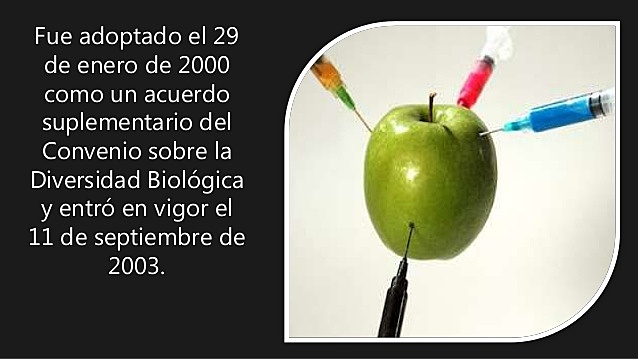 Protocolo de cartagena