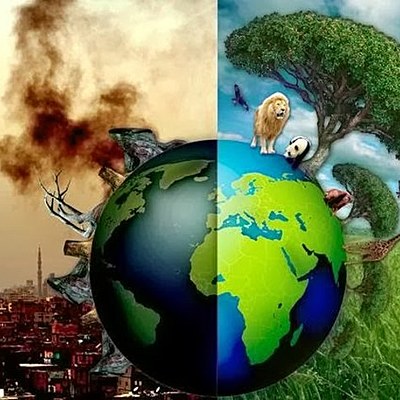 Timeline: Problemática Ambiental En Colombia