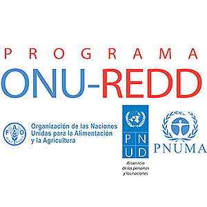 Programa ONU-REDD