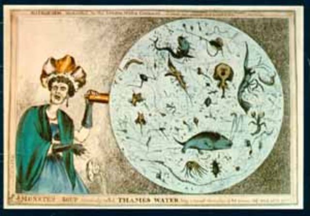 Cholera Epidemic of 1855