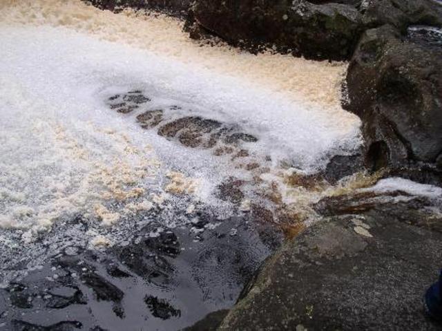 National Coast Anti Pollution League