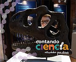 los programas pioneros