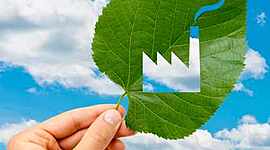 Timeline: Linea Problemática Ambiental Global