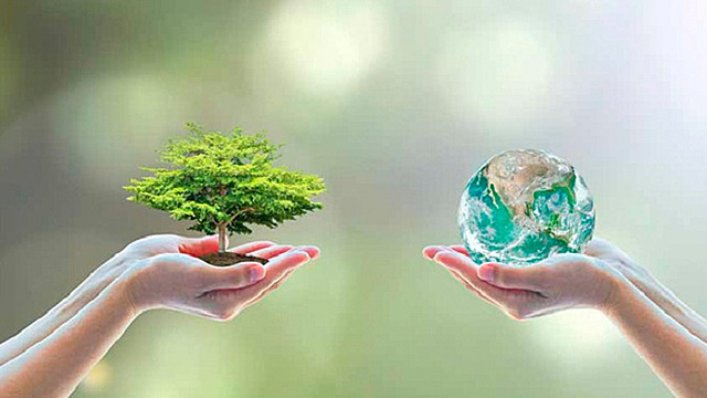 Cumbre del milenio de las Naciones Unidas