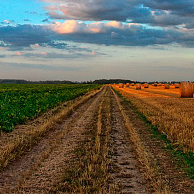 Timeline: Linea de tiempo impacto ambiental