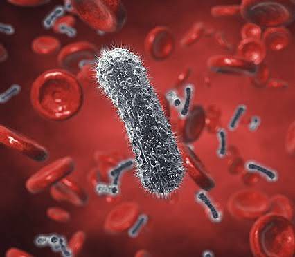 Inicio de la era de la bacteriología