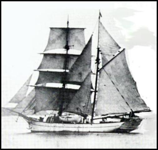 The Venus arrives in the Bay of Islands