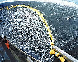 CANADÁ Y ESPAÑA – Pesca