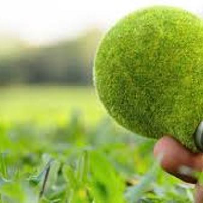 Timeline: Resultados de las afectaciones al medio ambiente