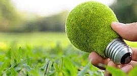 Timeline: Resultados de las afectaciones al medio ambiente