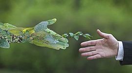 Timeline: Línea de tiempo Problemática Ambiental Global Jhonatan David Aguirre Daza